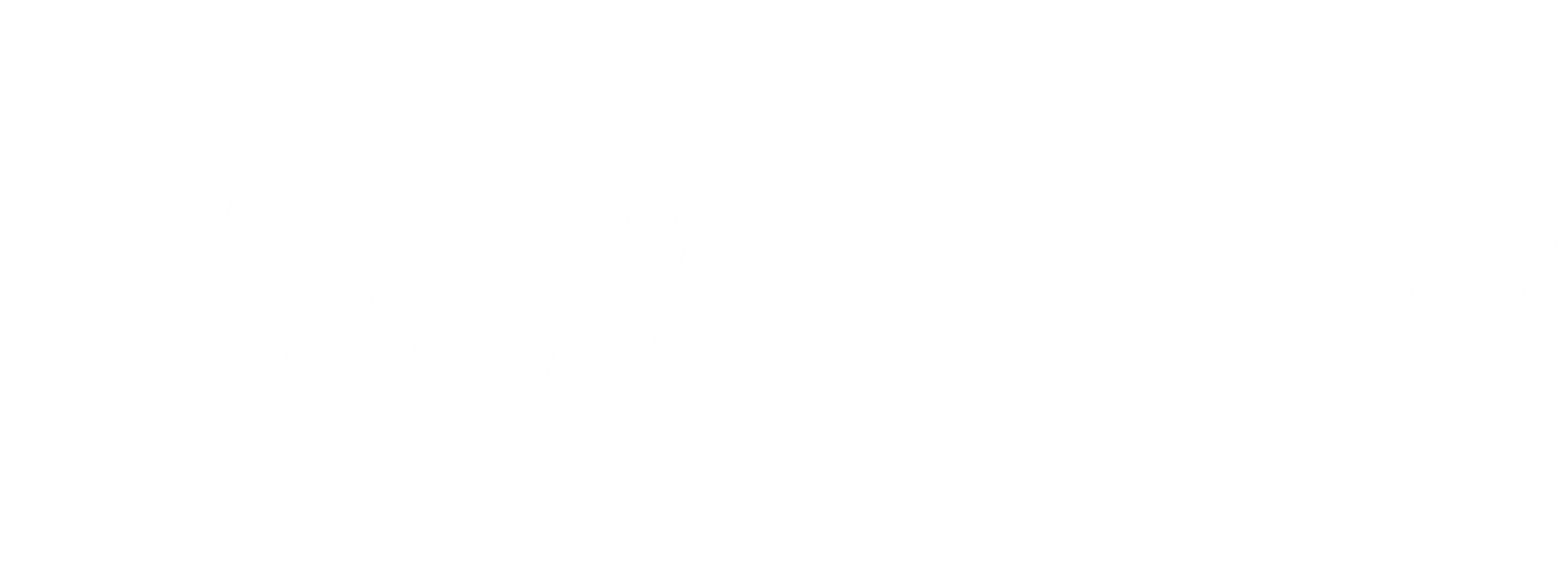 CYBERSECURITY ADVISOR GROUP